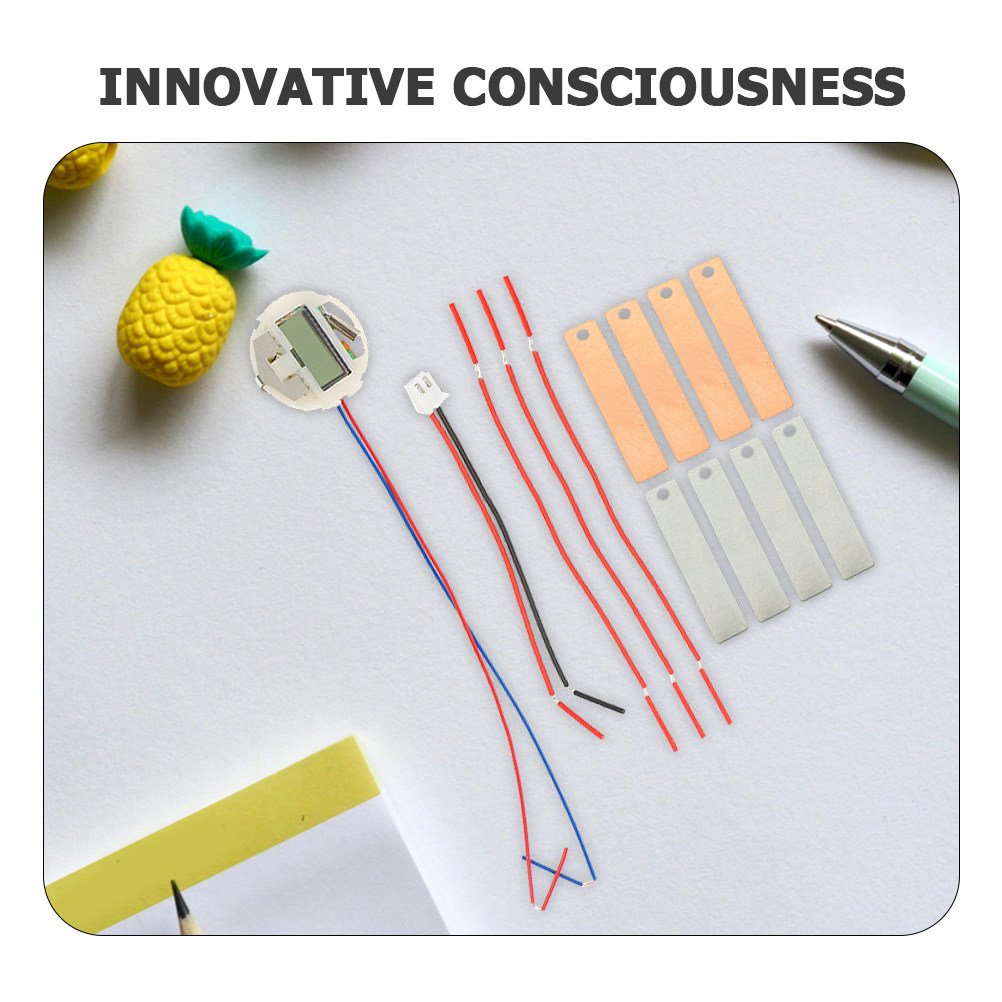 2Sets Fruit Battery Science Ex - đánh giá và giá Science Project