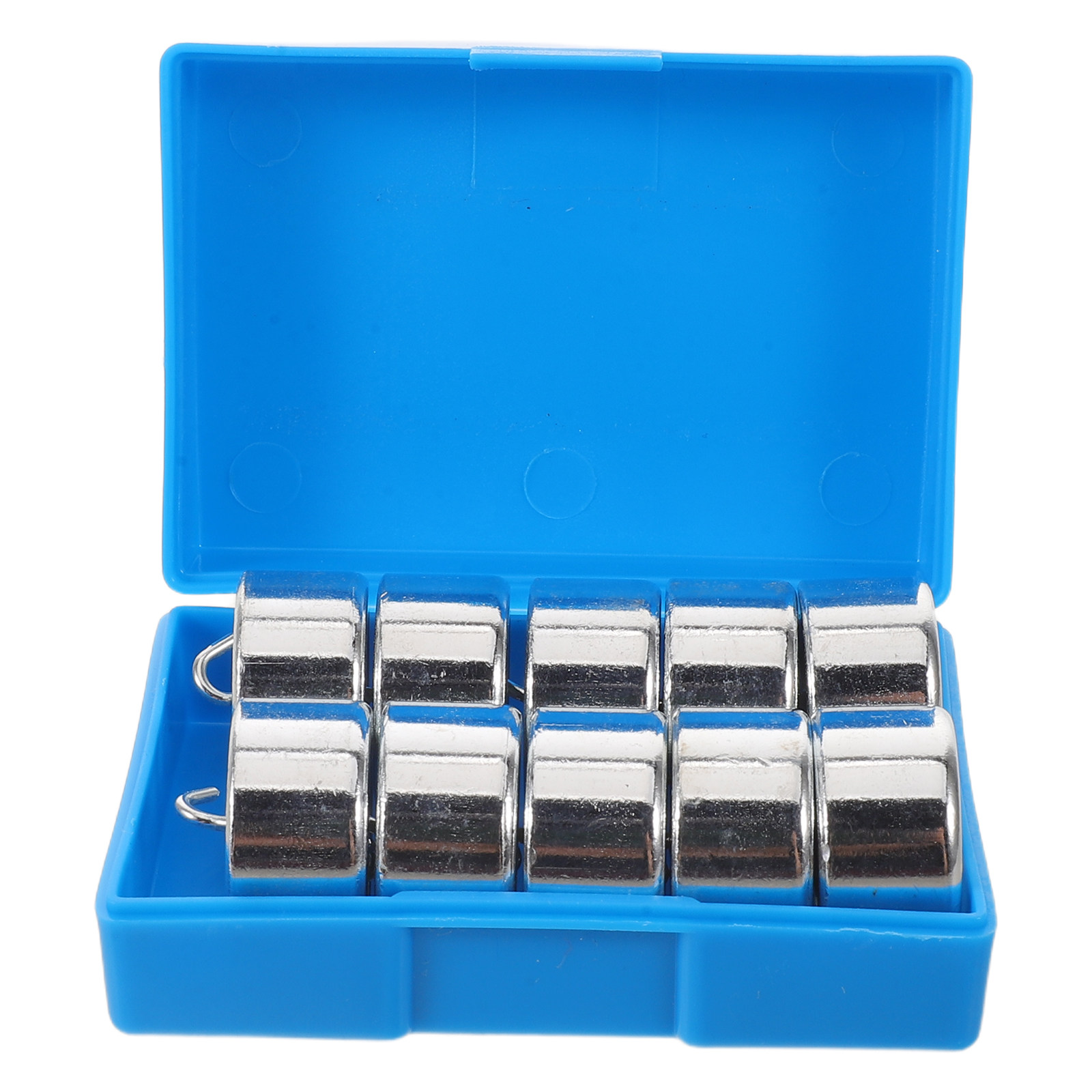 10Pcs Slotted Hook Weights Lab - đánh giá và giá Science Nature