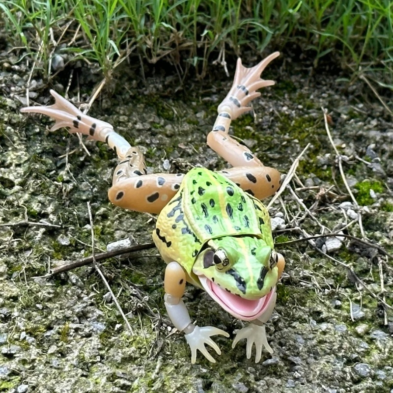 BANDAI Official Realistic Blac - đánh giá và giá Science Nature