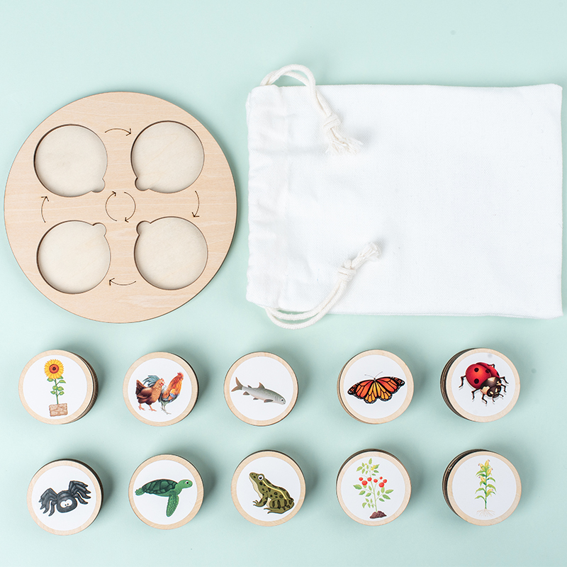 Life Cycle Board Montessori Ki - đánh giá và giá Science Nature