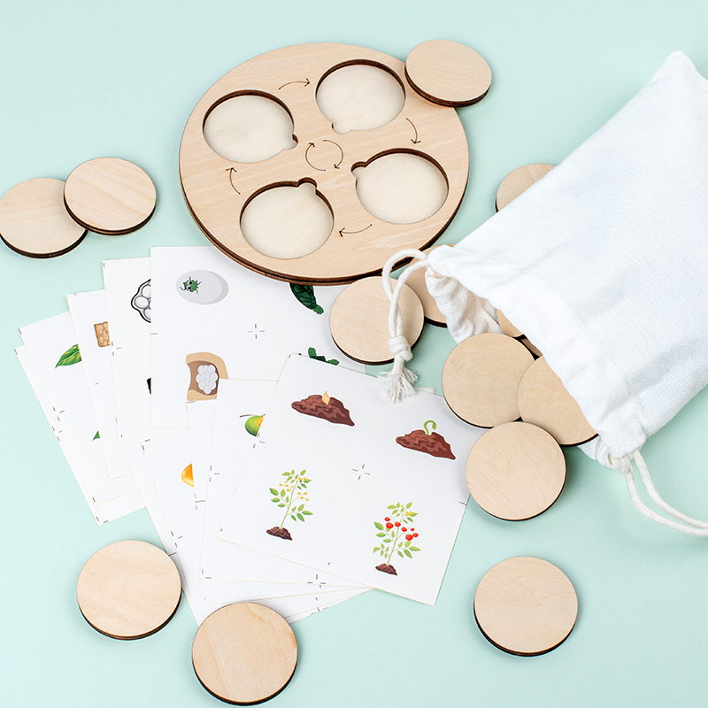 Life Cycle Board Montessori Ki - đánh giá và giá Science Nature